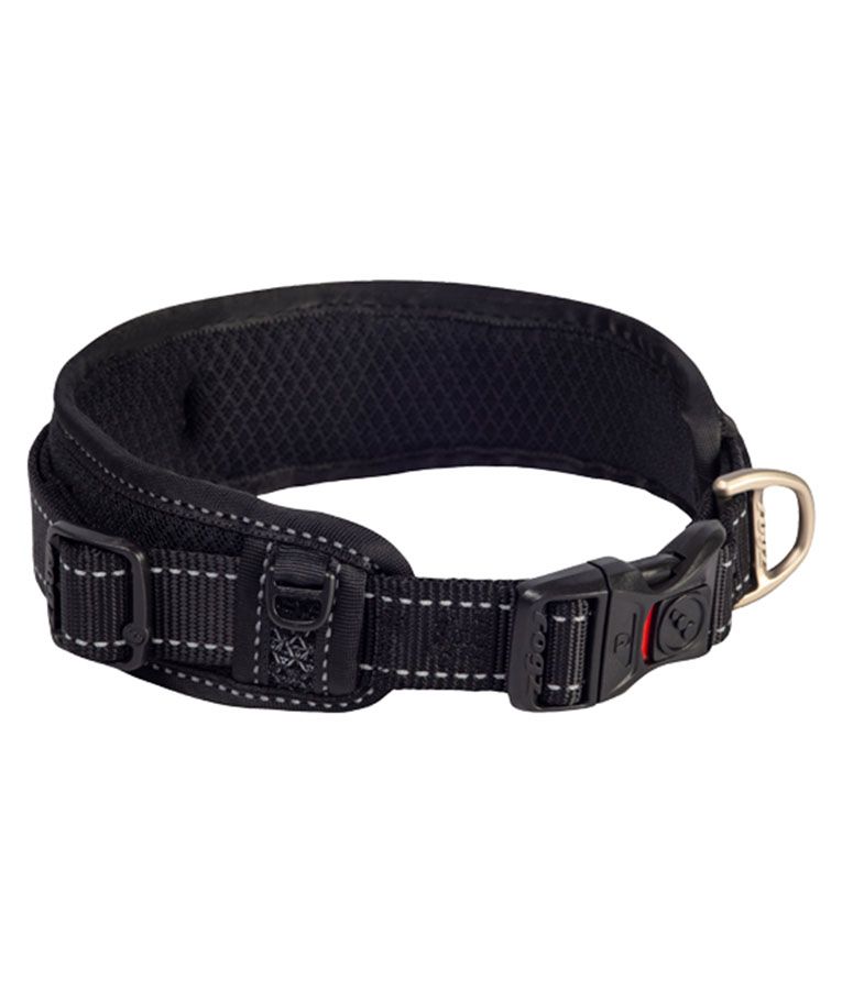 Rogz Classic Padded Dog Collar - BLUE Large