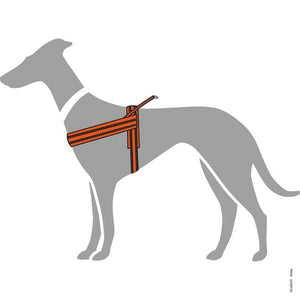 Hunter Meldal Dog Harness - ORANGE