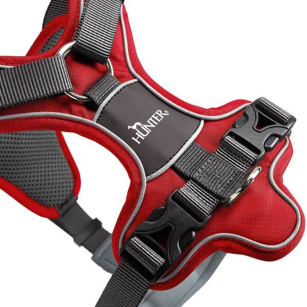 Hunter Divo Dog Harness  - RED Medium