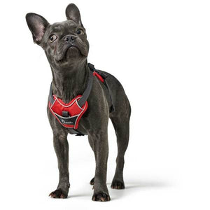 Hunter Divo Dog Harness  - DARK BLUE Medium