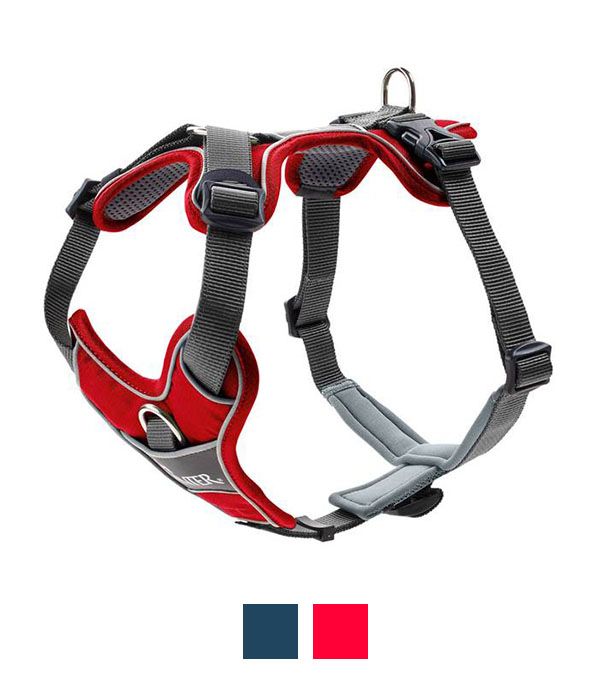 Hunter Divo Dog Harness  - RED Medium