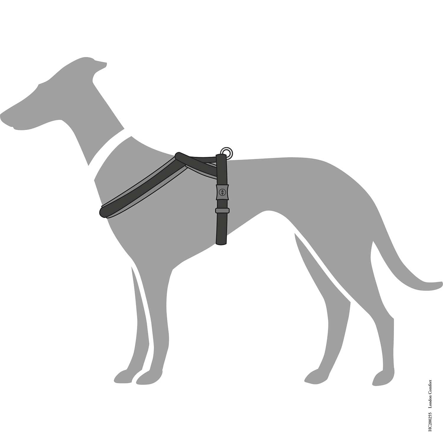 Hunter London Dog Harness  - BLACK S-M 48