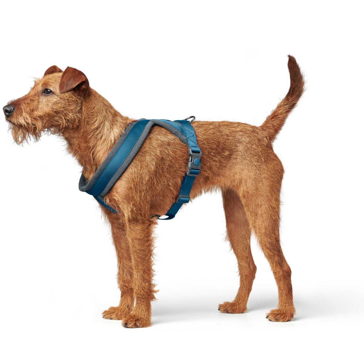 Hunter London Dog Harness  - BLACK S-M 48