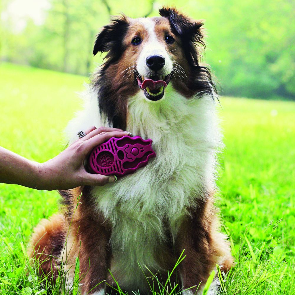 Kong Zoom Groom BoysenBerry Dog Brush - Large