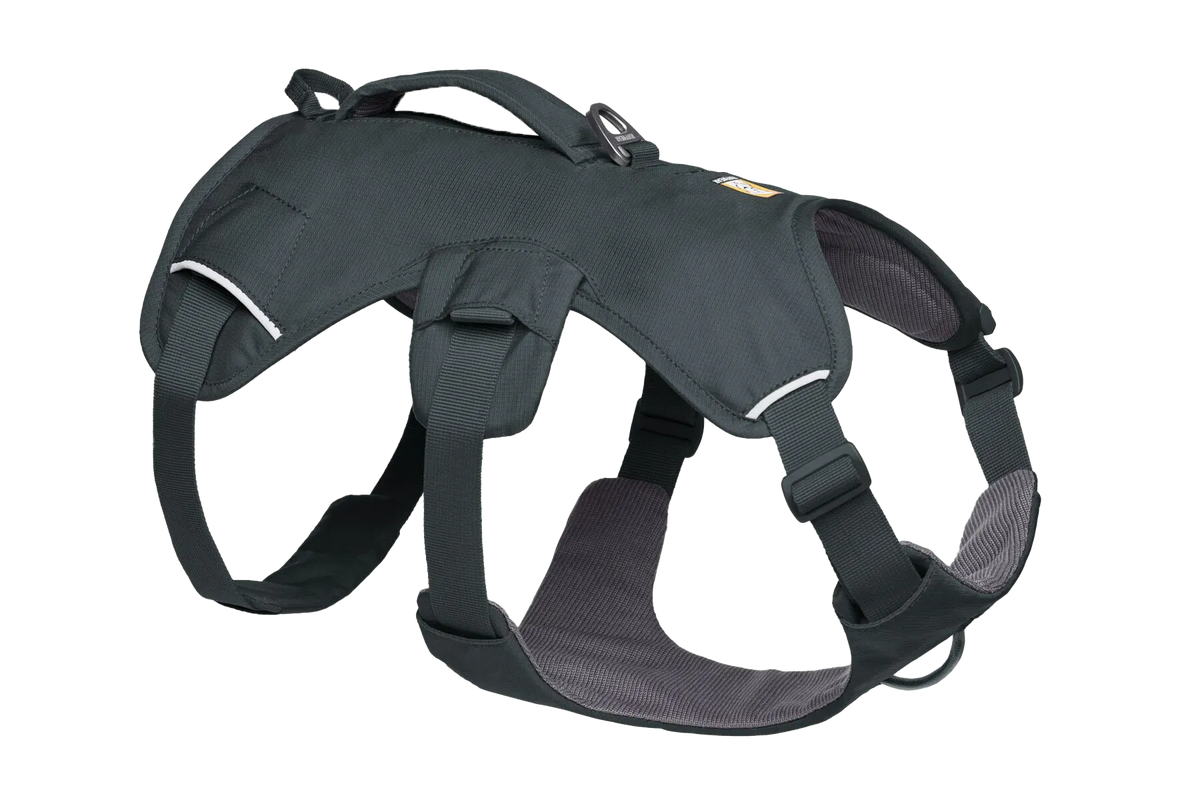 Ruffwear WebMaster Dog Harness - Blaze Orange L