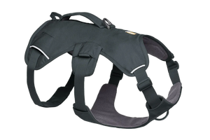 Ruffwear WebMaster Dog Harness - Red Canyon XS