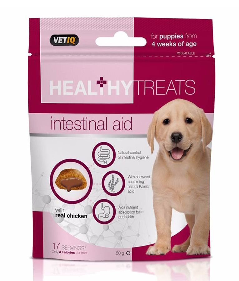 Healthy Treats Intestinal Aid for Puppies 50g - 50G