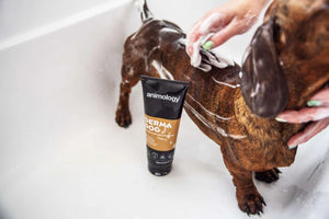 Animology Derma Dog Sensitive Skin Dog Shampoo - 5 LITERS