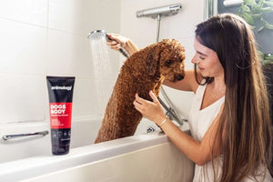 Animology Dogs Body All Breed Dog Shampoo - 5 LITERS