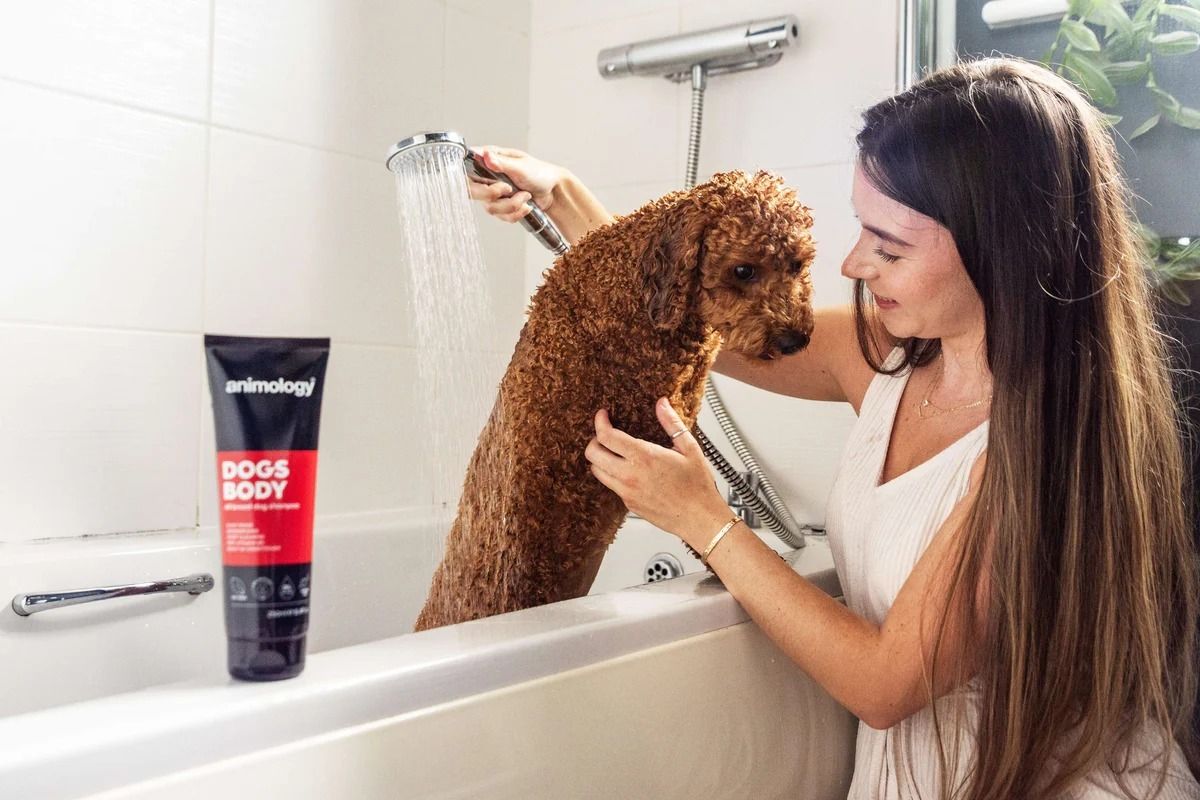 Animology Dogs Body All Breed Dog Shampoo - 2.5L