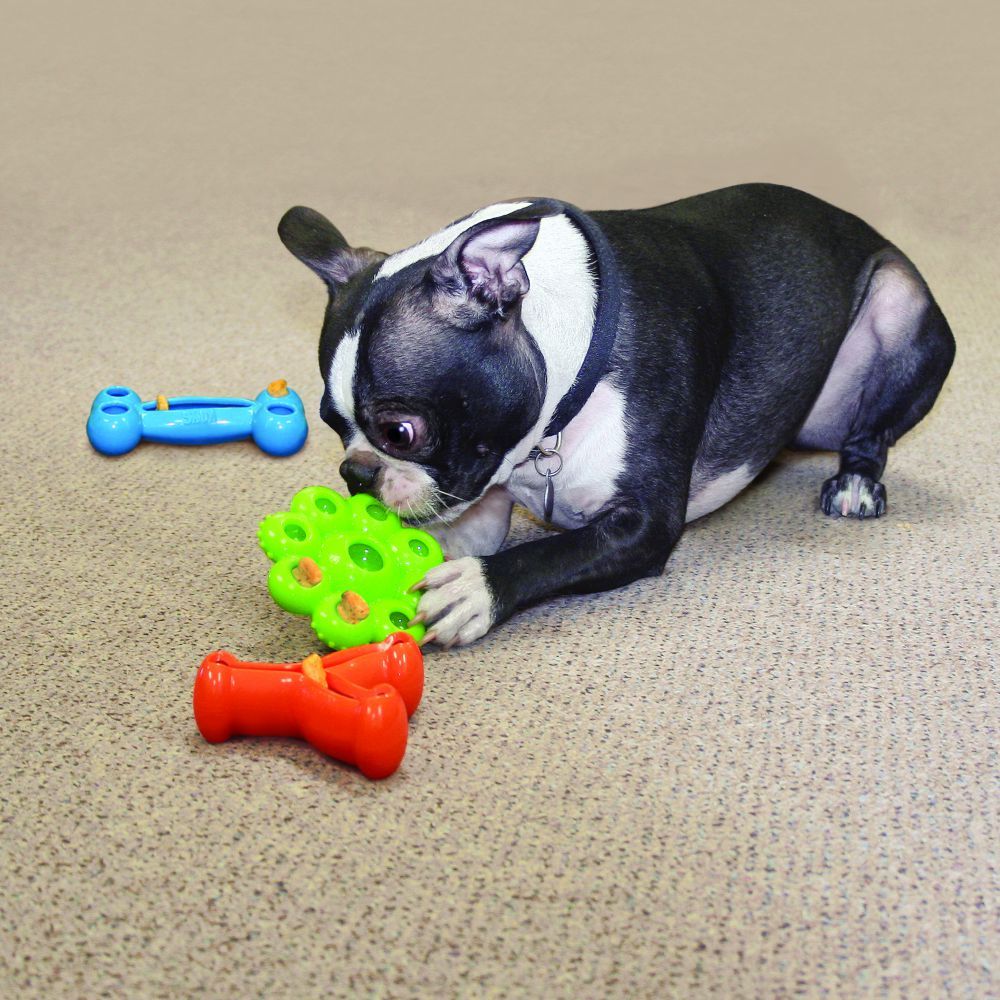 Kong Quest Wishbone Dog Toy - S