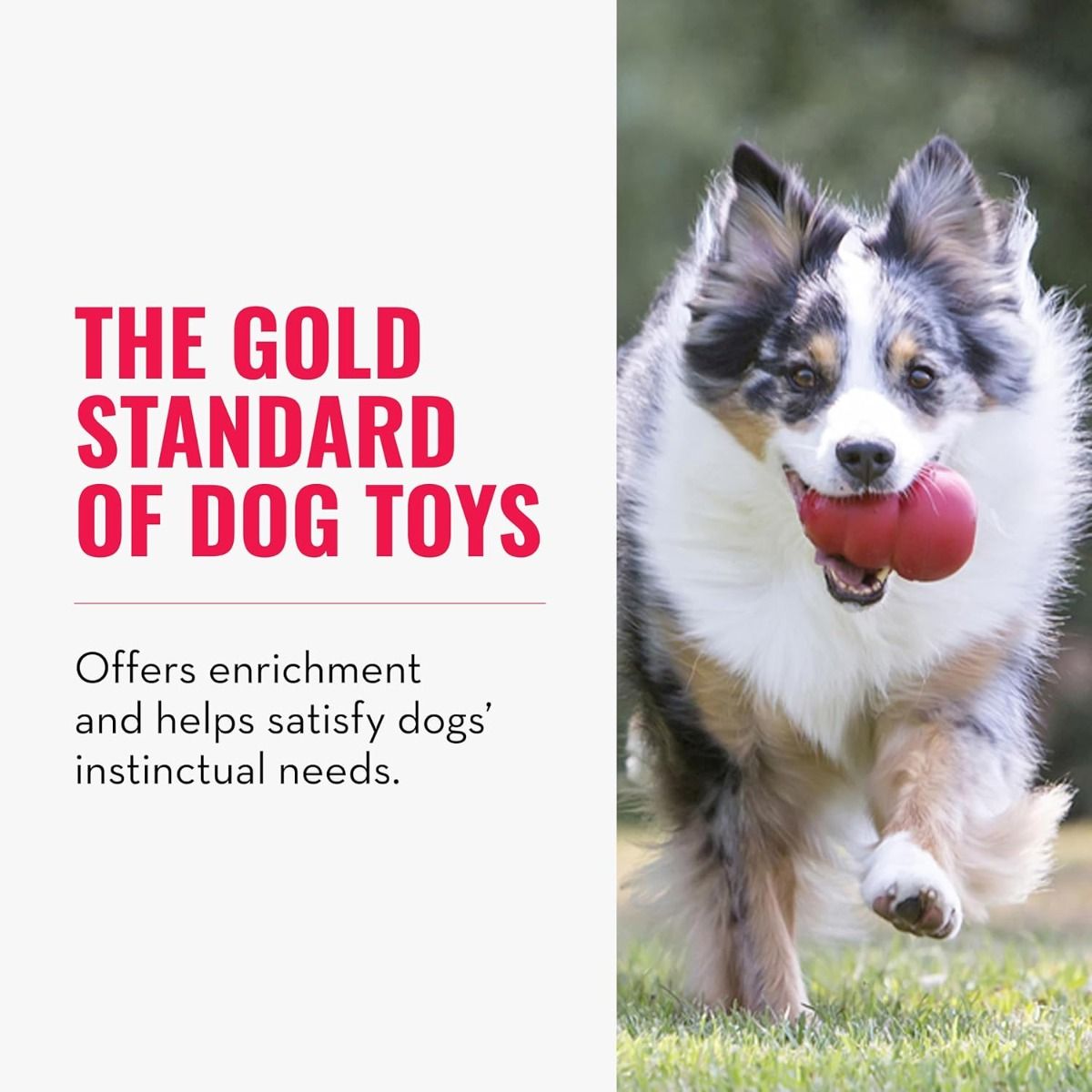 Kong Classic Dog Toy - XX-L