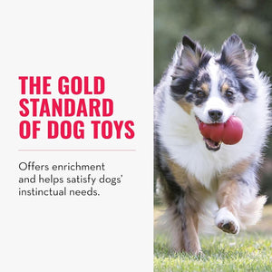 Kong Classic Dog Toy - XX-L