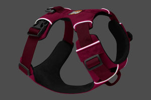 Ruffwear Front Range Padded Dog Harness - TEAL Small
