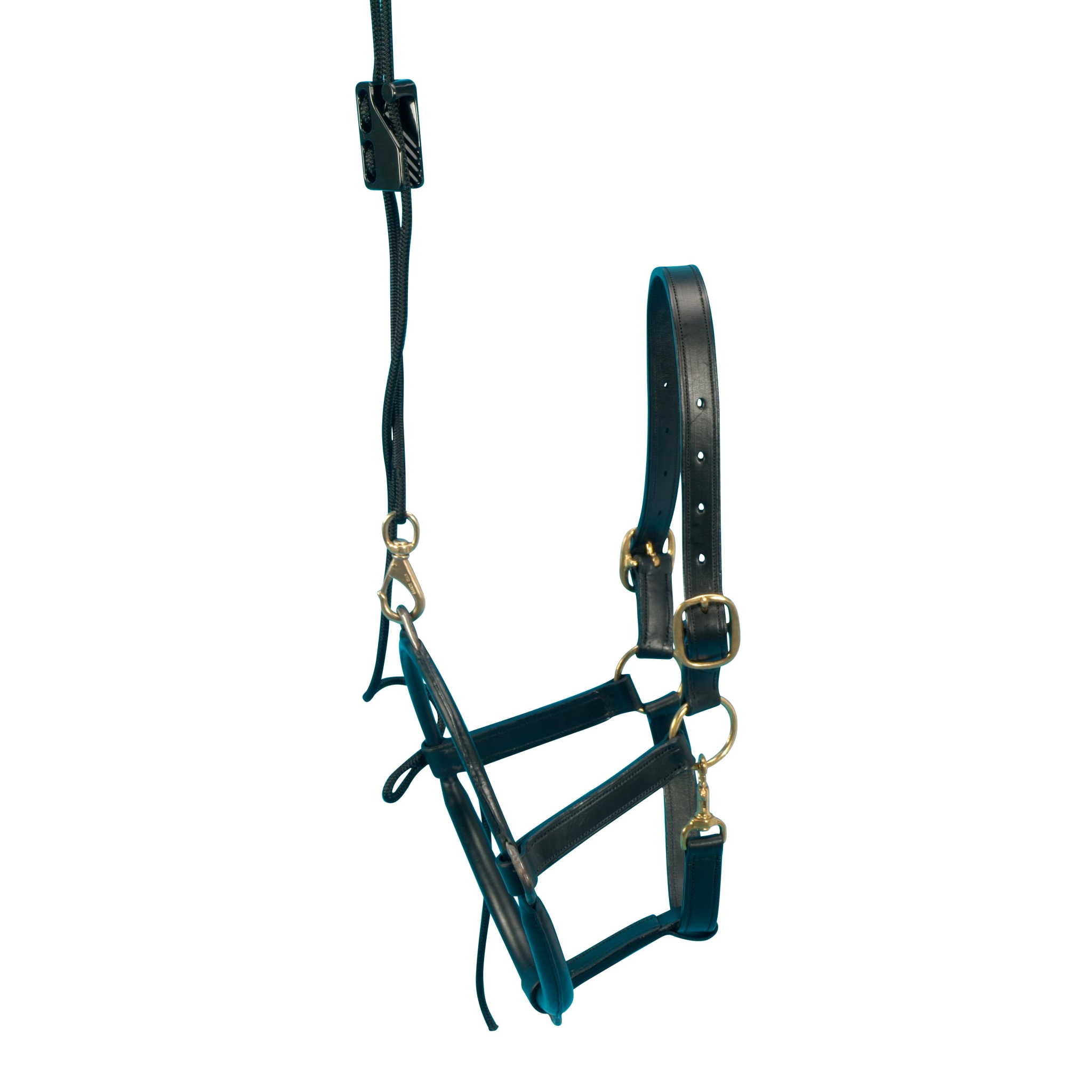 EQUIVET Dental Halter