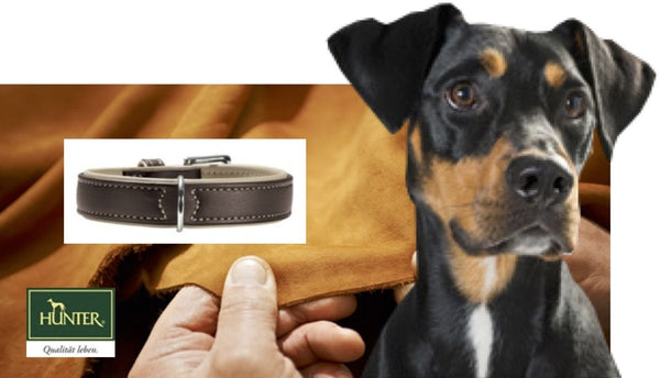 Hunter Canadian Elk Dog Leash -