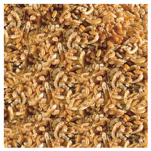 Sera Turtle Food-Raffy - I Nature[Volume - 100ml]