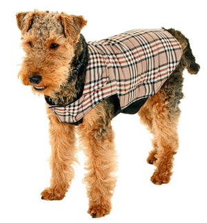 Flamingo English Sytle Dog Coat - 44