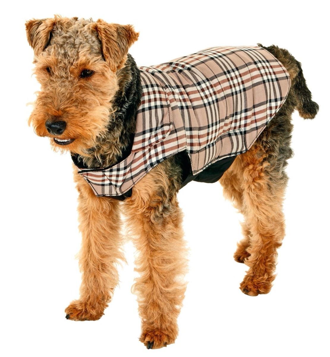 Flamingo English Sytle Dog Coat - 44
