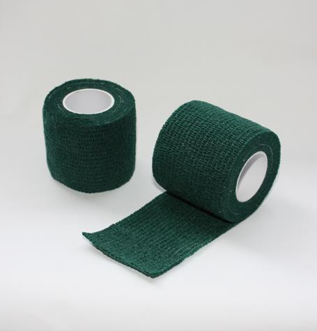 FIONIAVET COHESIVE BANDAGE 10 CM X 4.5 M, GREEN, 10/PK