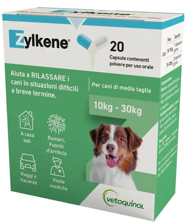 ZYLKENE 225 B20 GB 10KG - 30KG