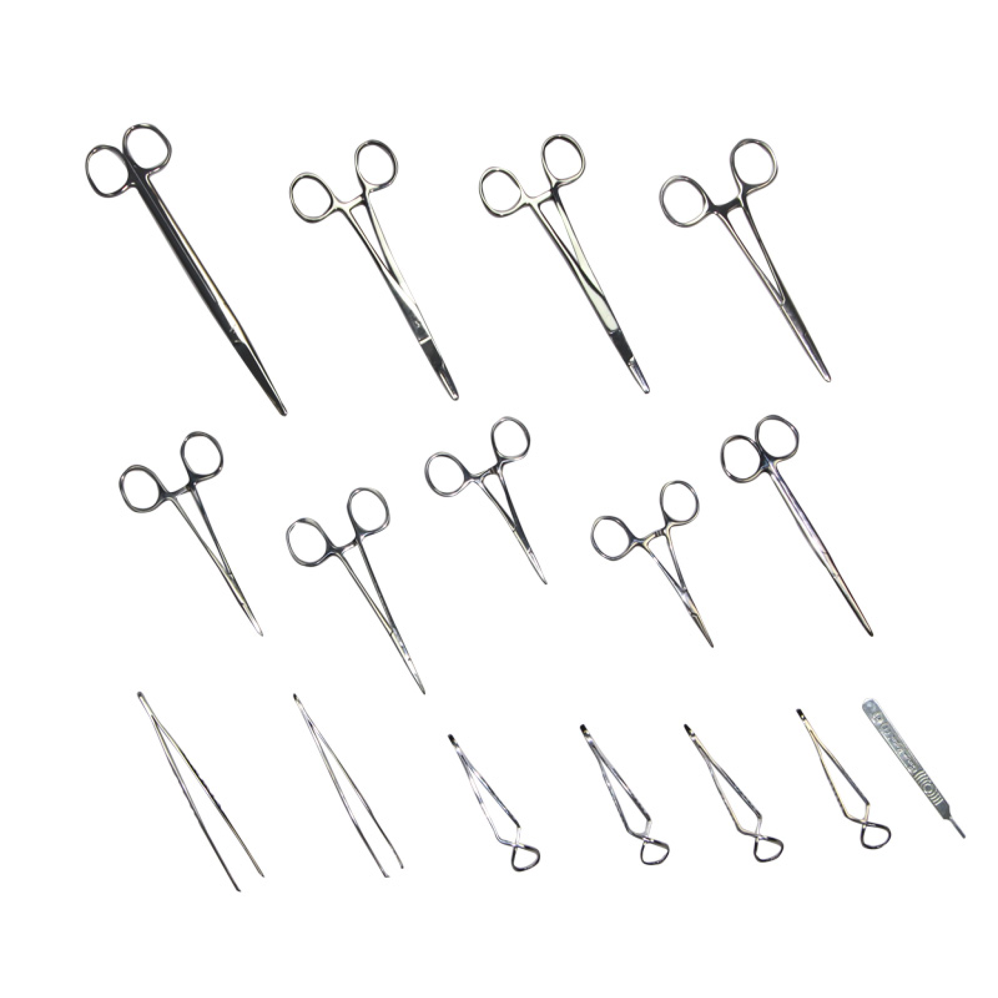 Cat Spay Kit