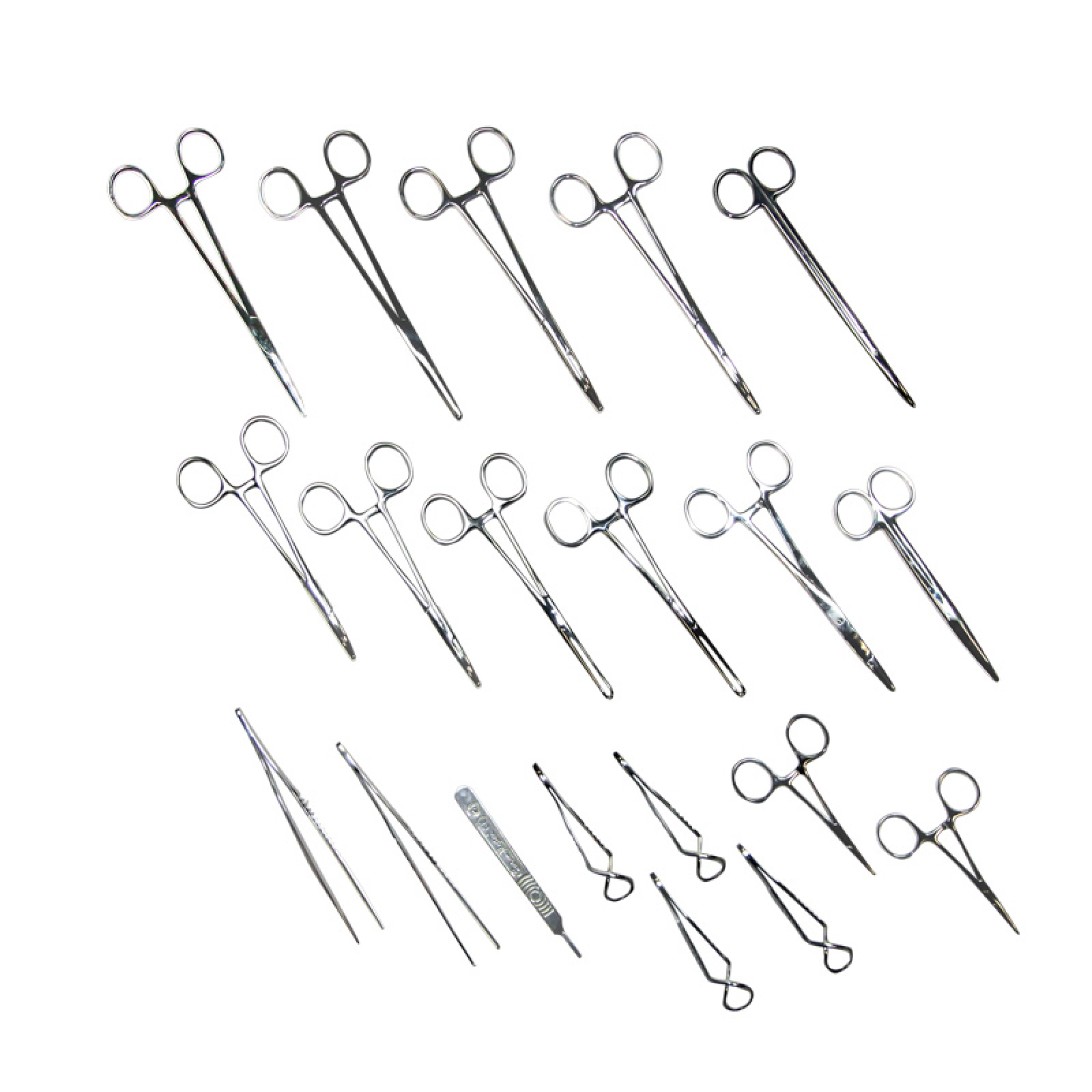 Bitch Spay Kit