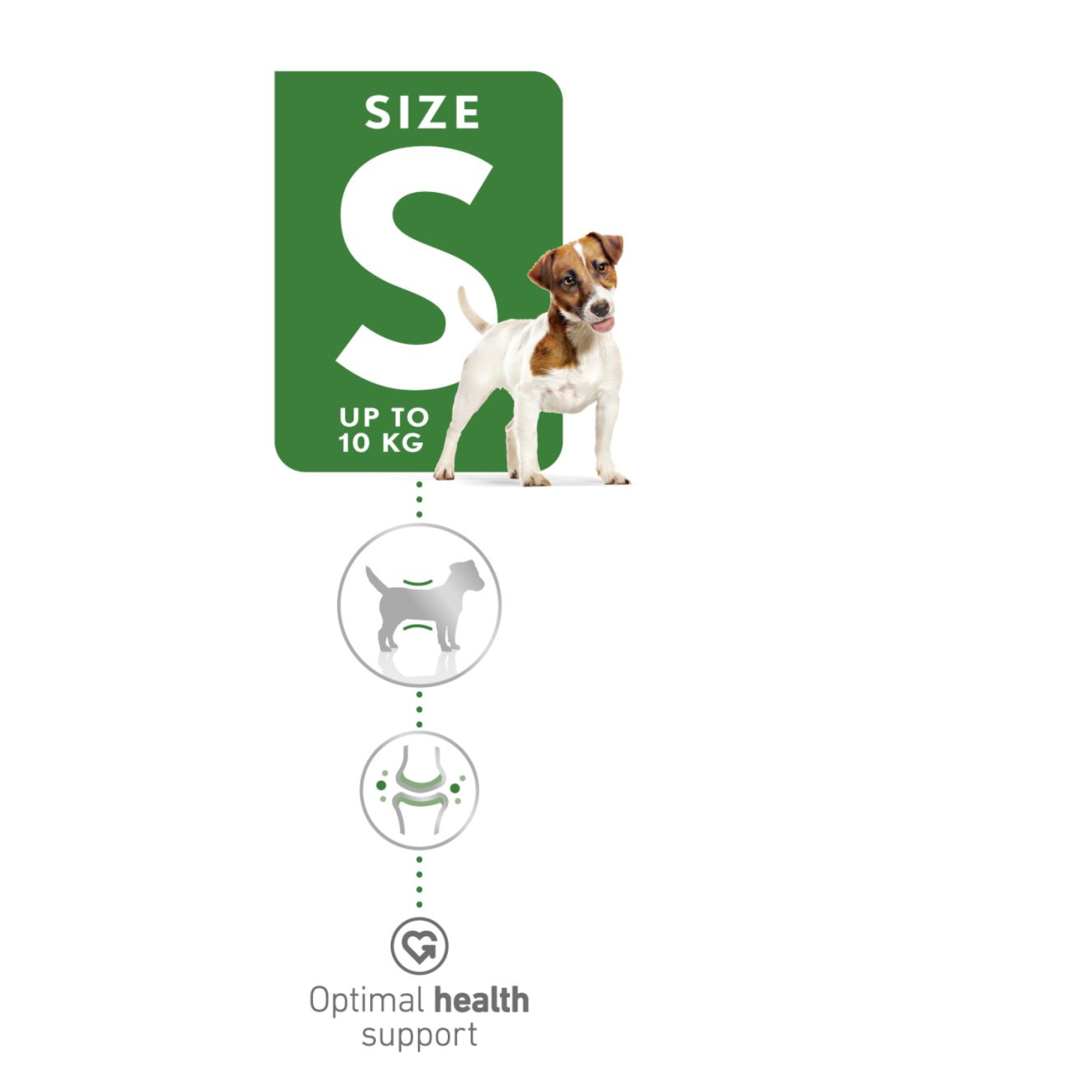 Size Health Nutrition Pro Mini Adult 15 kg