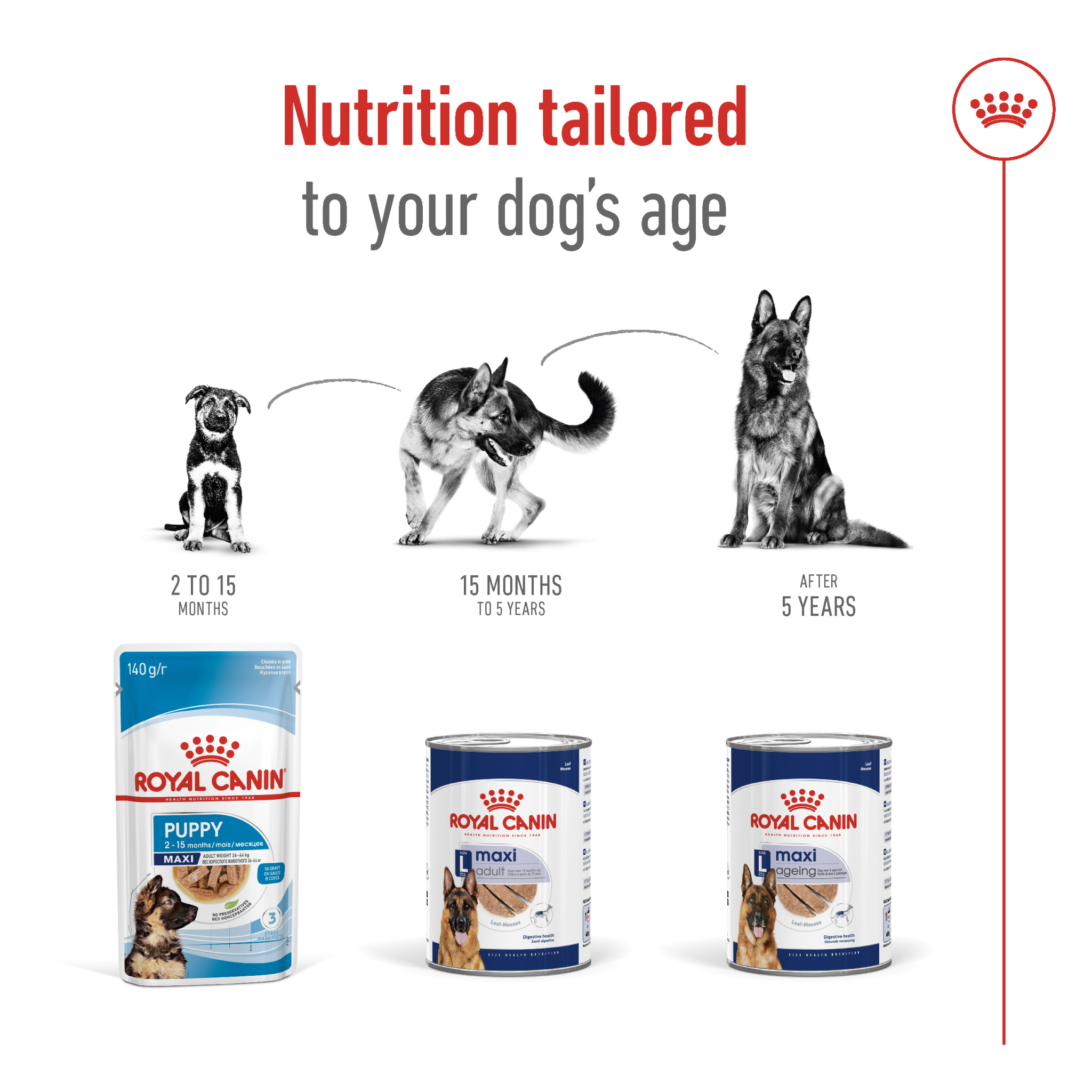 Size Health Nutrition Maxi Adult (Wet Food - Can) 12 x 410 g