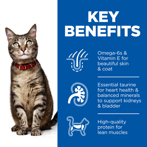 Hill’s Science Plan Adult Wet Cat Food Multipack with Turkey, Chicken Pouches (12x85g)