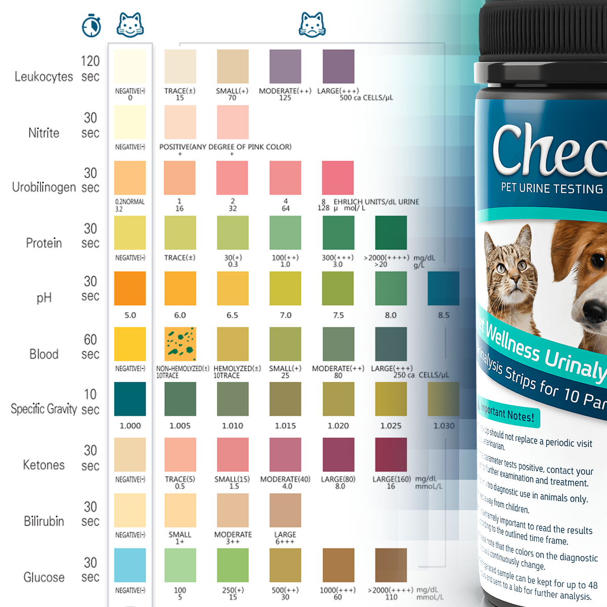 CheckUp 10 Parameter Urine Testing Stripes *50