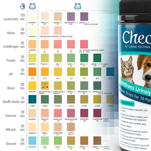 CheckUp 10 Parameter Urine Testing Stripes *50