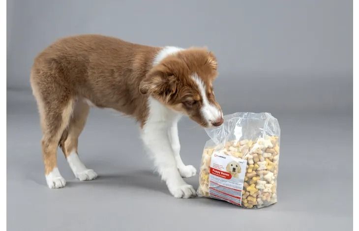 Flamingo Puppy Bones Crunchy Cookies Dog Treats - 1.5kg