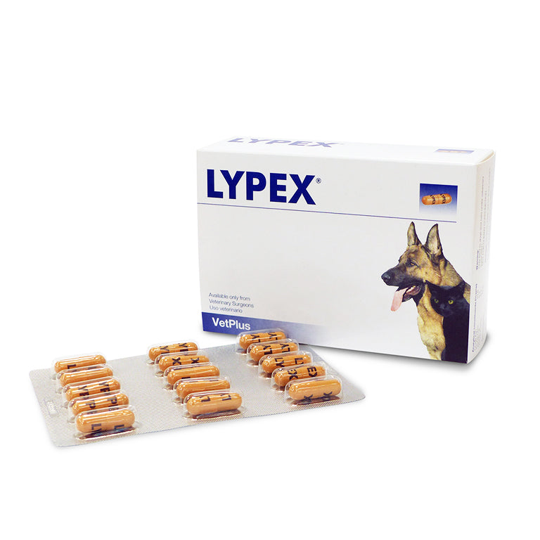 Lypex for Cats & Dogs 60 capsules