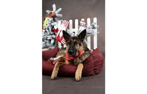 Flamingo Mik Red Christmas Dog Bandana - Red