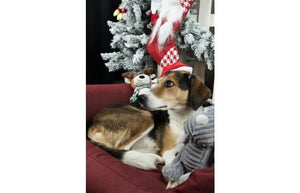 Flamingo Ponne Red Santa Christmas Dog Hat - Red