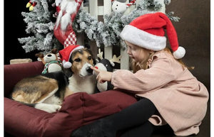 Flamingo Ponne Red Santa Christmas Dog Hat - Red