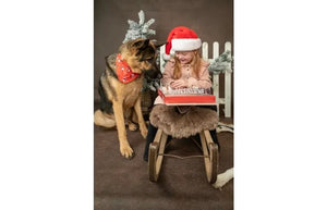 Flamingo Christmas Calendar Nature Snack Dog Treats 24pcs -