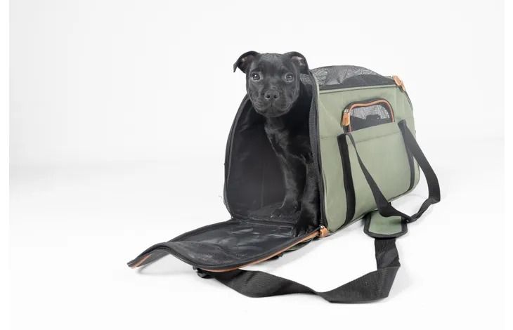 Flamingo Gisel Dog Carrying Bag Green - Green