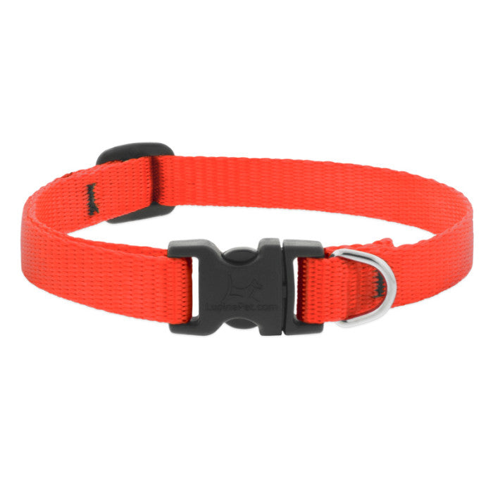 BASICS Adjustable Collar ORANGE 1/2″ FOR SMALL DOGS - 6"-9"