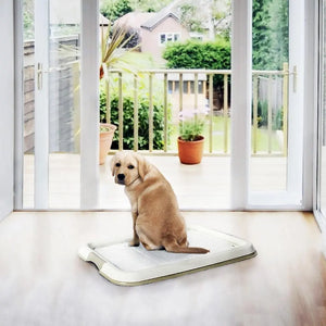 Duvo Pet Pad Large (30pcs) 45 x 60cm[Dimension - 45 x 60cm]