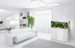 Aquael Cabinet Glossy 120 White [Dimension - 120 x 40 x 63cm]