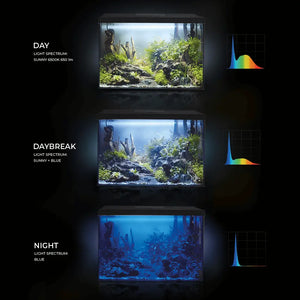 Aquael Leddy Aquarium Set XL Black Day & Night[Size - 40 cm]