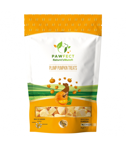 Pawfect Natures Munch Freeze-Dried Dog Treats Pumpkin 20g