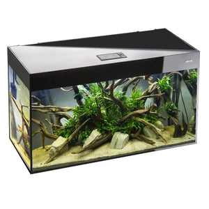Aquael Aquarium Glossy Day & Night black[Dimension - 120 x 40 x 63cm]