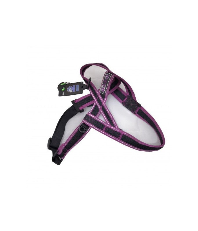 Doco Athletica City Walker Mesh Harness (DCA207)[Color - Purple, Size - XL]