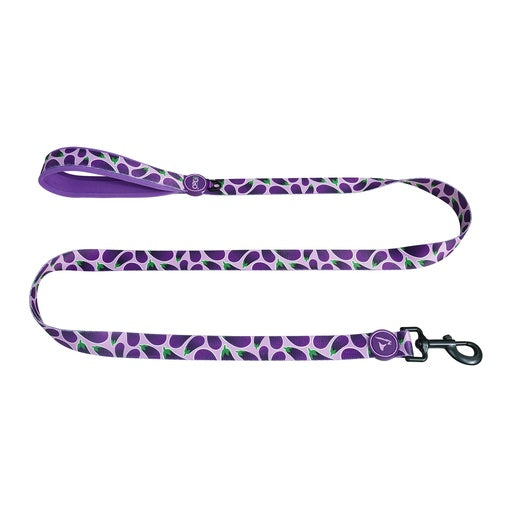 DOCO® LOCO Leash - 5ft Small-1.5 x 150cm EP