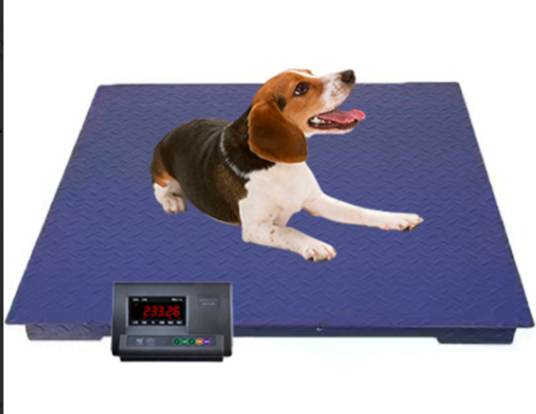 VC-FS Vet Digital Floor Scale 0.5*1m