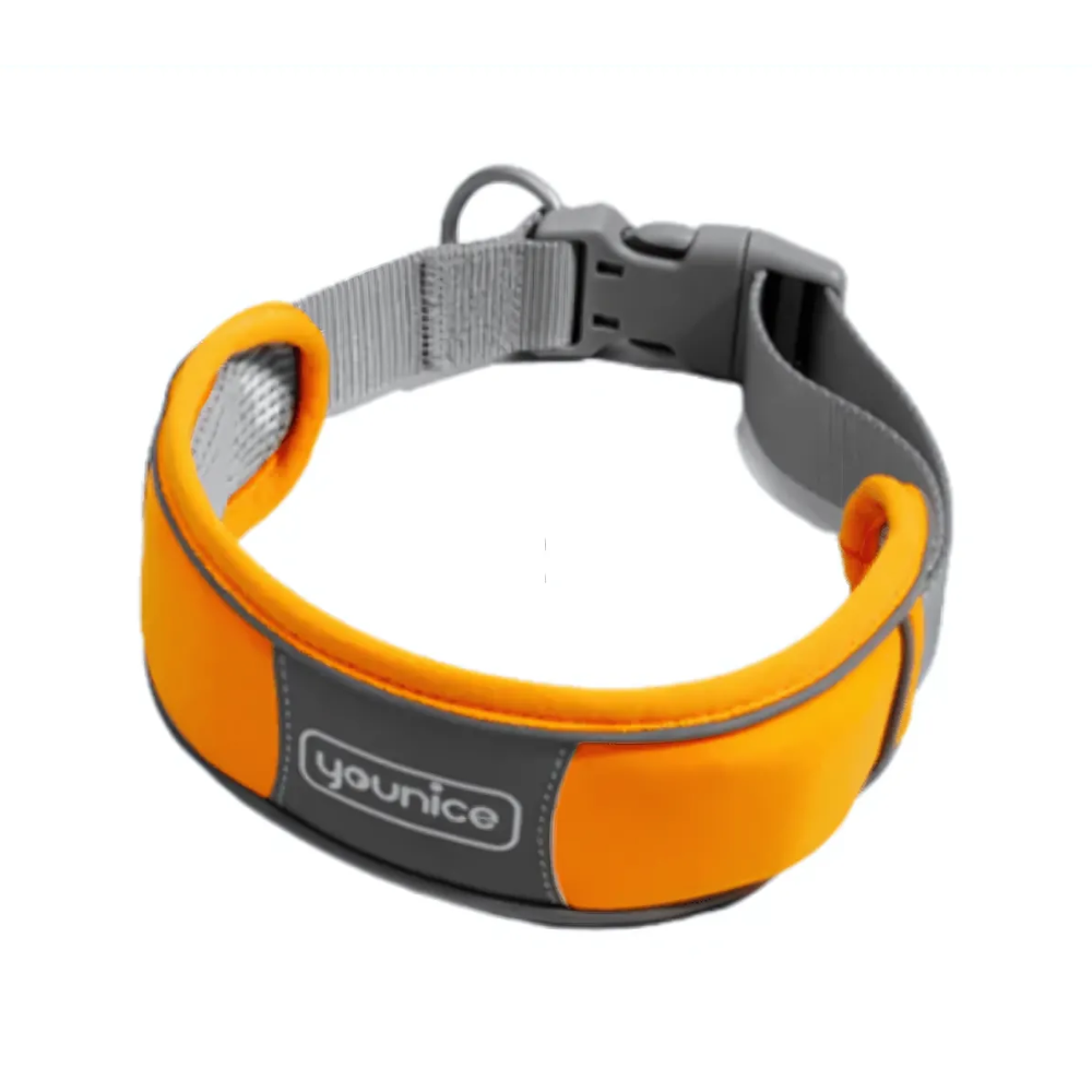 Golden Panda Younice Neroprene Dog Collar 45-55cm