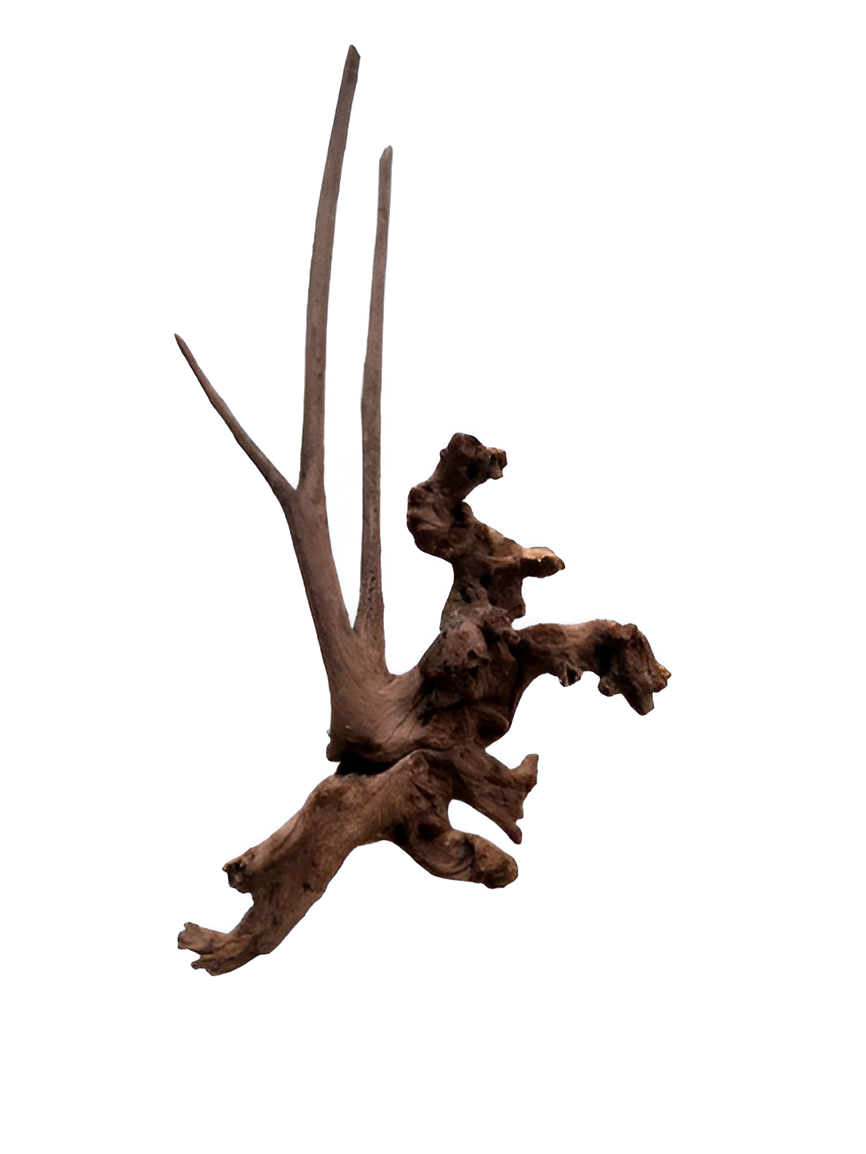 Karis Natural Drift Wood-5kg